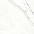Calacatta White