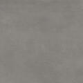 Cosmopolita Gray