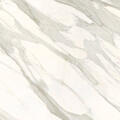 Calacatta Gold CG-01