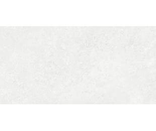 TAU Ceramica Коллекция BORGA White Mat 60*120 см