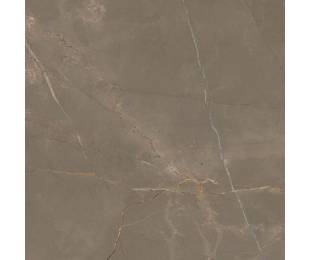 Energieker Коллекция AMANI Oud Mat 120*120 см