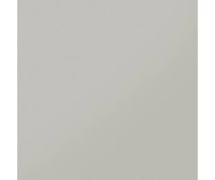 Керамика будущего MONOCOLOR  Моноколор CF 002 MR Светло-серый 60x60 см